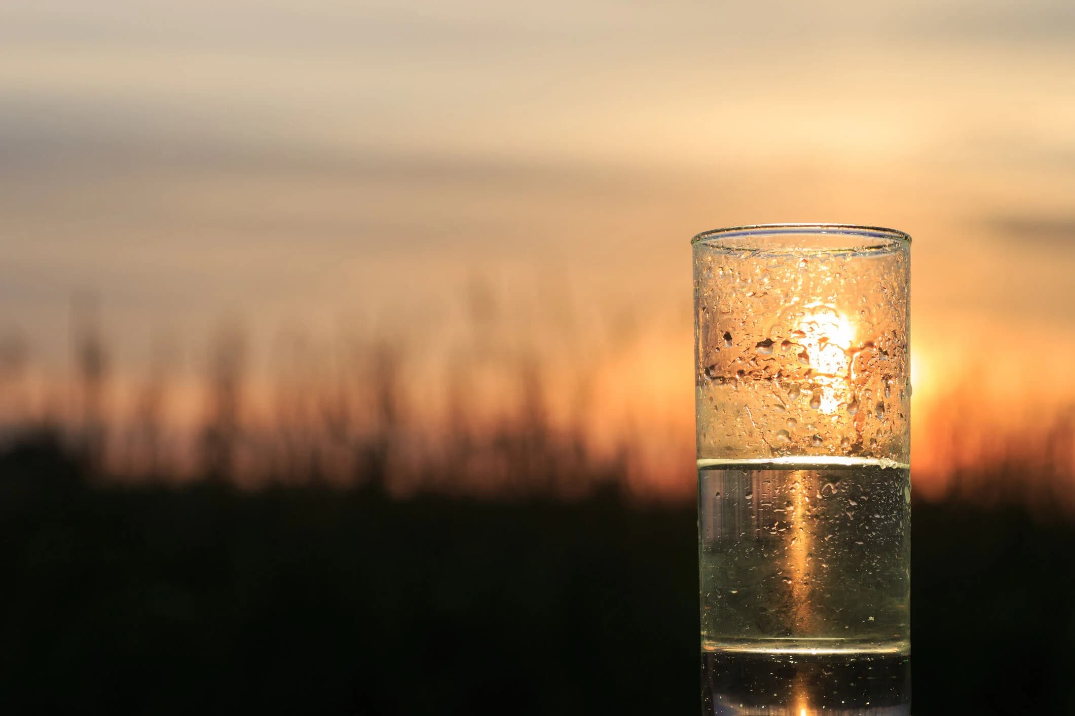 December 2025 Quarterly Outlook – A Glass Half Full